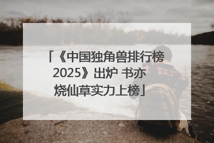 《中国独角兽排行榜2025》出炉 书亦烧仙草实力上榜