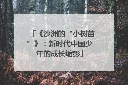 《沙洲的“小树苗”》：新时代中国少年的成长缩影