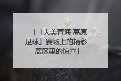 「大美青海 高原足球」赛场上的精彩 展区里的惊喜