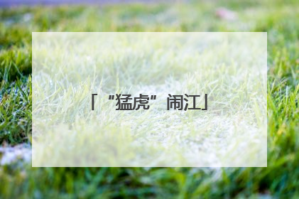 “猛虎”闹江
