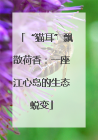 “猫耳”飘散荷香：一座江心岛的生态蜕变