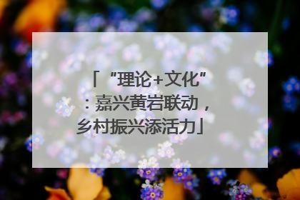 “理论+文化”：嘉兴黄岩联动，乡村振兴添活力