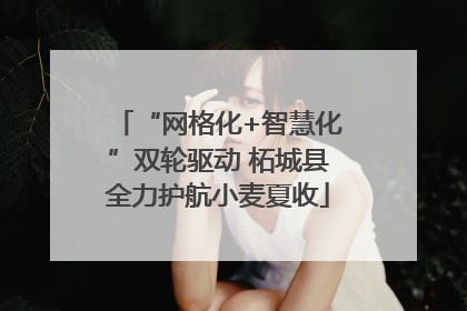 “网格化+智慧化”双轮驱动 柘城县全力护航小麦夏收