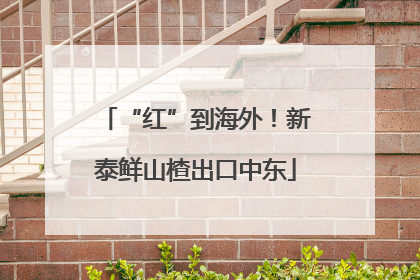 “红”到海外！新泰鲜山楂出口中东