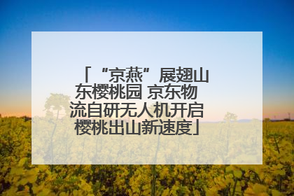 “京燕”展翅山东樱桃园 京东物流自研无人机开启樱桃出山新速度