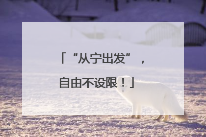 “从宁出发”，自由不设限！
