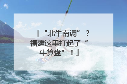 “北牛南调”?福建这里打起了“牛算盘”!