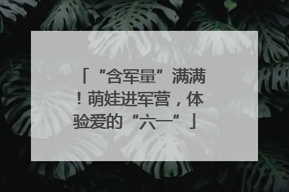 “含军量”满满！萌娃进军营，体验爱的“六一”