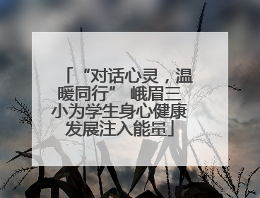 “对话心灵，温暖同行” 峨眉三小为学生身心健康发展注入能量
