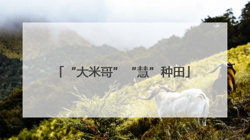 “大米哥”“慧”种田
