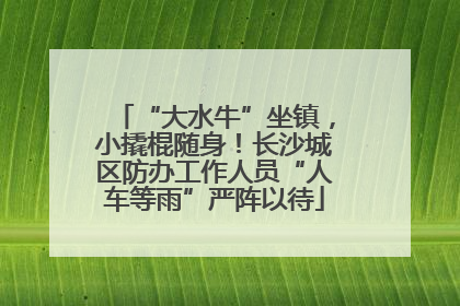 “大水牛”坐镇，小撬棍随身！长沙城区防办工作人员“人车等雨”严阵以待