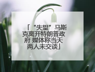 “失望”马斯克离开特朗普政府 媒体称当天两人未交谈