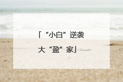 “小白”逆袭大“盈”家