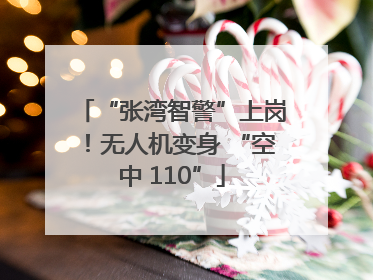 “张湾智警”上岗！无人机变身 “空中 110”