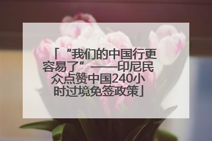 “我们的中国行更容易了”——印尼民众点赞中国240小时过境免签政策
