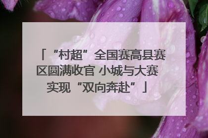 “村超”全国赛高县赛区圆满收官 小城与大赛实现“双向奔赴”