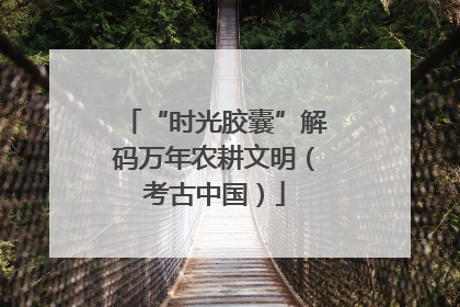 “时光胶囊”解码万年农耕文明（考古中国）