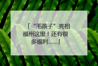 “毛孩子”亮相福州这里！还有很多福利……