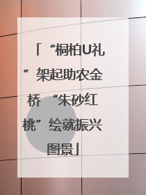 “桐柏U礼”架起助农金桥 “朱砂红桃”绘就振兴图景