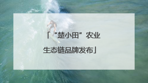 “楚小田”农业生态链品牌发布