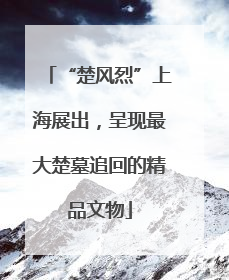 “楚风烈”上海展出，呈现最大楚墓追回的精品文物