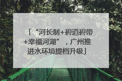 “河长制+碧道碧带+幸福河湖”，广州推进水环境提档升级