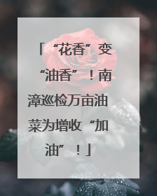“花香”变“油香”！南漳巡检万亩油菜为增收“加油”！