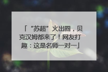 “苏超”火出圈，贝克汉姆都来了！网友打趣：这是名师一对一