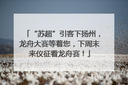 “苏超”引客下扬州，龙舟大赛等着您，下周末来仪征看龙舟赛！