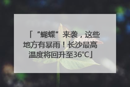 “蝴蝶”来袭，这些地方有暴雨！长沙最高温度将回升至36℃