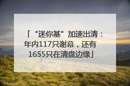 “迷你基”加速出清：年内117只谢幕，还有1655只在清盘边缘
