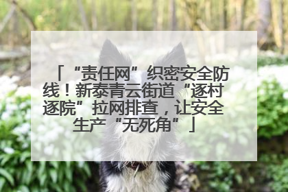 “责任网”织密安全防线！新泰青云街道“逐村逐院”拉网排查，让安全生产“无死角”