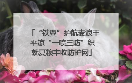 “铁翼”护航麦浪丰 平凉“一喷三防”织就夏粮丰收防护网