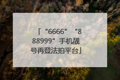 “6666”“888999”手机靓号再登法拍平台