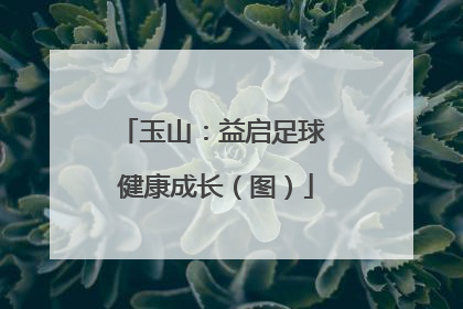 玉山：益启足球 健康成长（图）