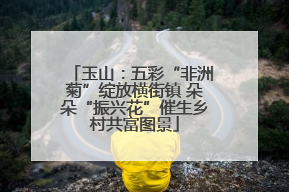 玉山：五彩“非洲菊”绽放横街镇 朵朵“振兴花”催生乡村共富图景