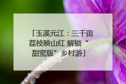 玉溪元江：三千亩荔枝映山红 解锁“甜蜜版”乡村游