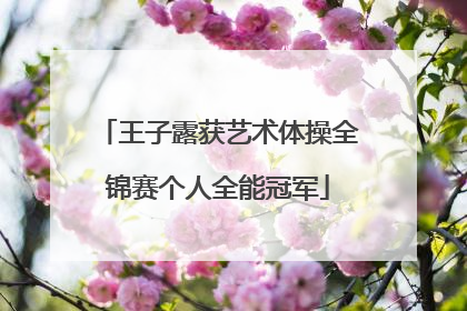 王子露获艺术体操全锦赛个人全能冠军