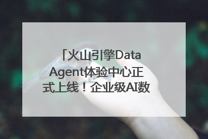 火山引擎Data Agent体验中心正式上线！企业级AI数据专家触手可及