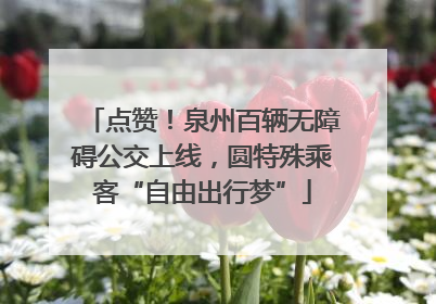 点赞！泉州百辆无障碍公交上线，圆特殊乘客“自由出行梦”