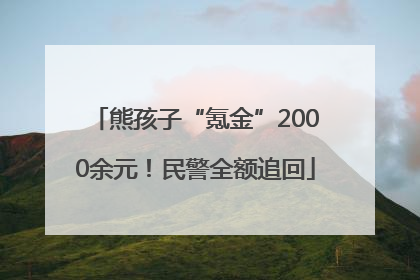 熊孩子“氪金”2000余元！民警全额追回