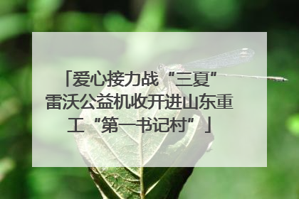 爱心接力战“三夏” 雷沃公益机收开进山东重工“第一书记村”