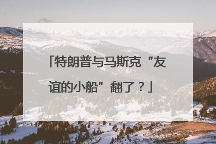 特朗普与马斯克“友谊的小船”翻了？