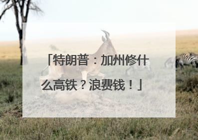 特朗普：加州修什么高铁？浪费钱！