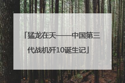 猛龙在天——中国第三代战机歼10诞生记