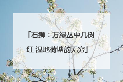 石狮：万绿丛中几树红 湿地荷塘韵无穷