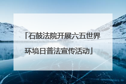 石鼓法院开展六五世界环境日普法宣传活动