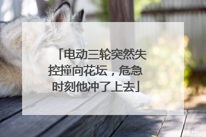 电动三轮突然失控撞向花坛，危急时刻他冲了上去