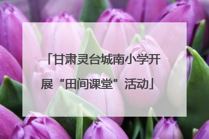 甘肃灵台城南小学开展“田间课堂”活动