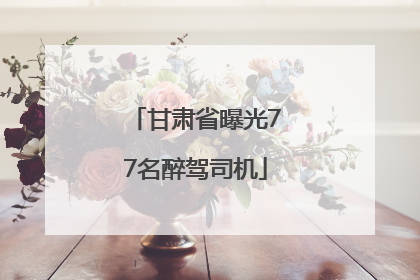 甘肃省曝光77名醉驾司机